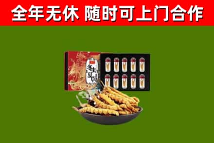 广元烟酒回收冬虫夏草礼盒.jpg
